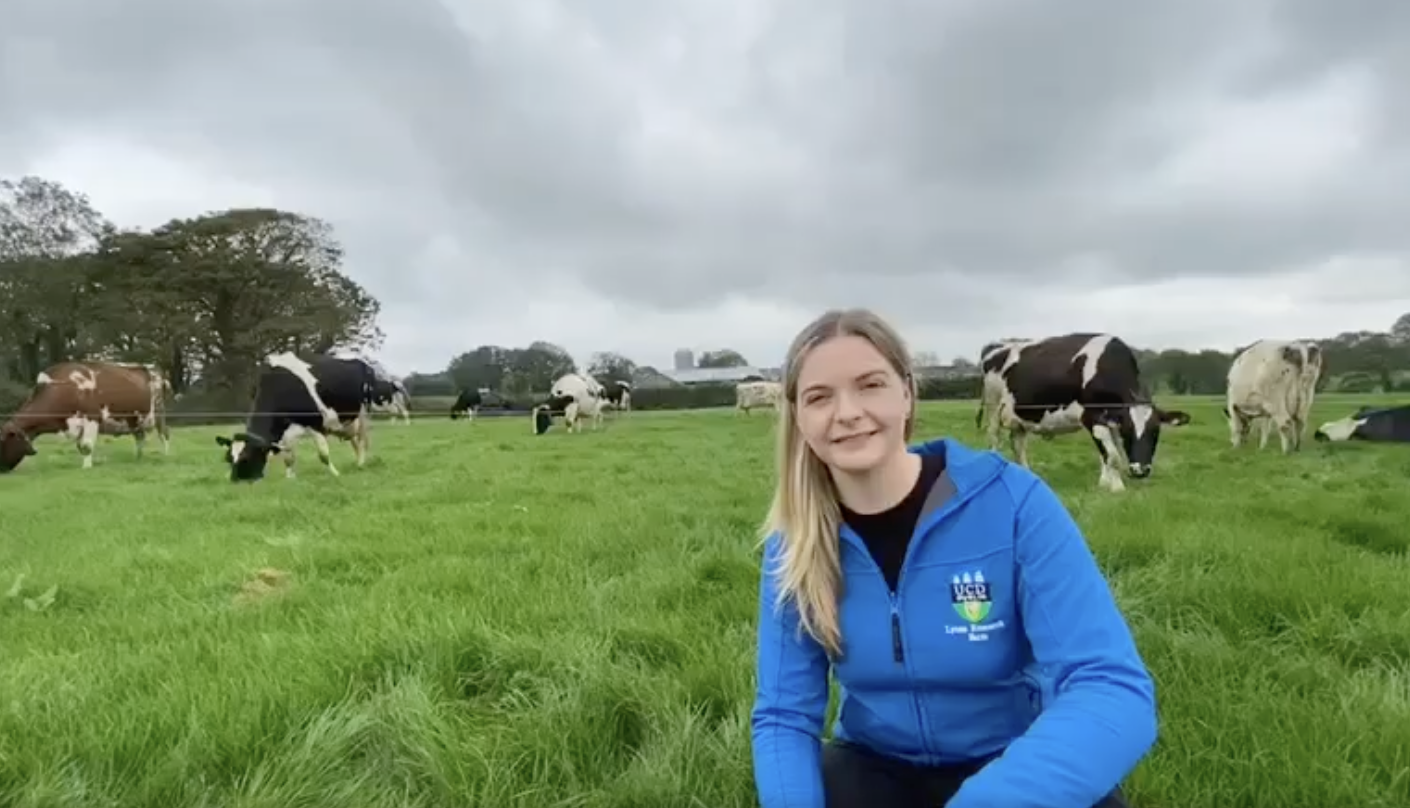 The School of Agriculture and Food Science are very excited to launch the new BSc in Sustainable Food Systems in September 2024. 